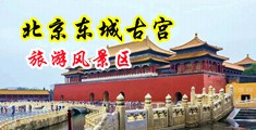 大鸡巴不要不要啊痛的操逼视频中国北京-东城古宫旅游风景区